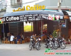 Thiết kế Thi Công Nội Thất Quán Cafe Bóng Đá NowGoal Coffe