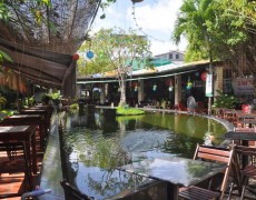 Phong Cách Nội Thất Quán Cafe Sân Vườn