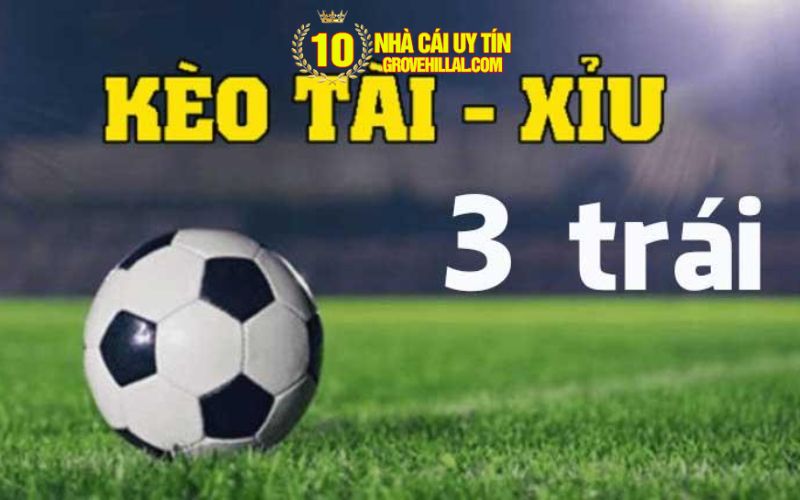bong da 22 Kinh Nghiệm Chơi Tài Xỉu 3 Trái Chuẩn Xác